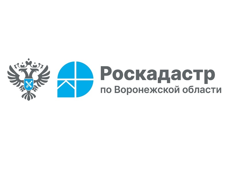 Как получить межевой или технический план на объект недвижимости, который поставлен на кадастровый учет? Кто может запросить копии документов из архива? Какова их стоимость? Как получить копию договора купли-продажи или дарения при утрате документов на оф.