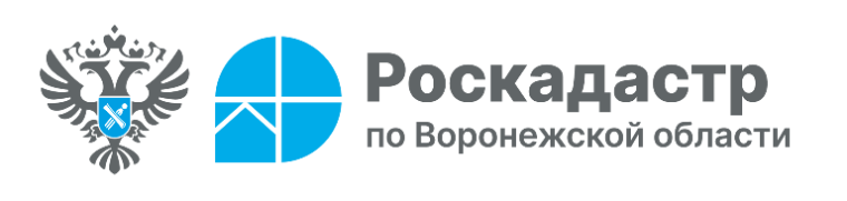 Что такое Реестр границ и какие сведения он содержит?. Что такое Реестр границ и какие сведения он содержит?.